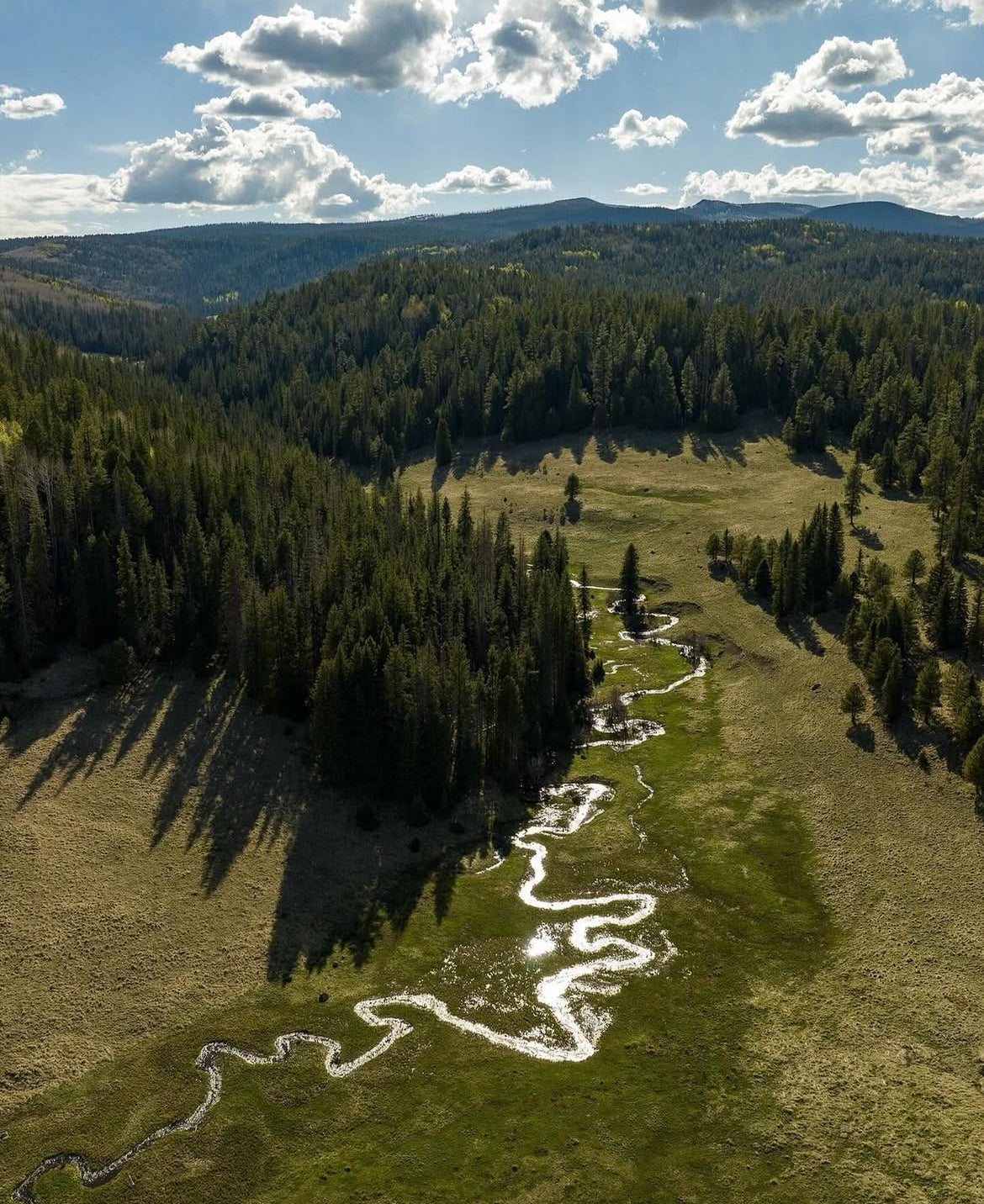 Apache Trout Recovery Drop