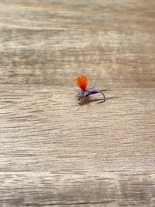 Purple Haze per Dozen