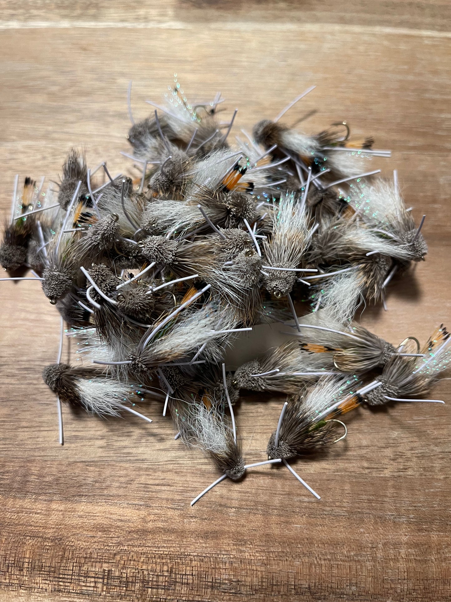 Turks Tarantula per dozen