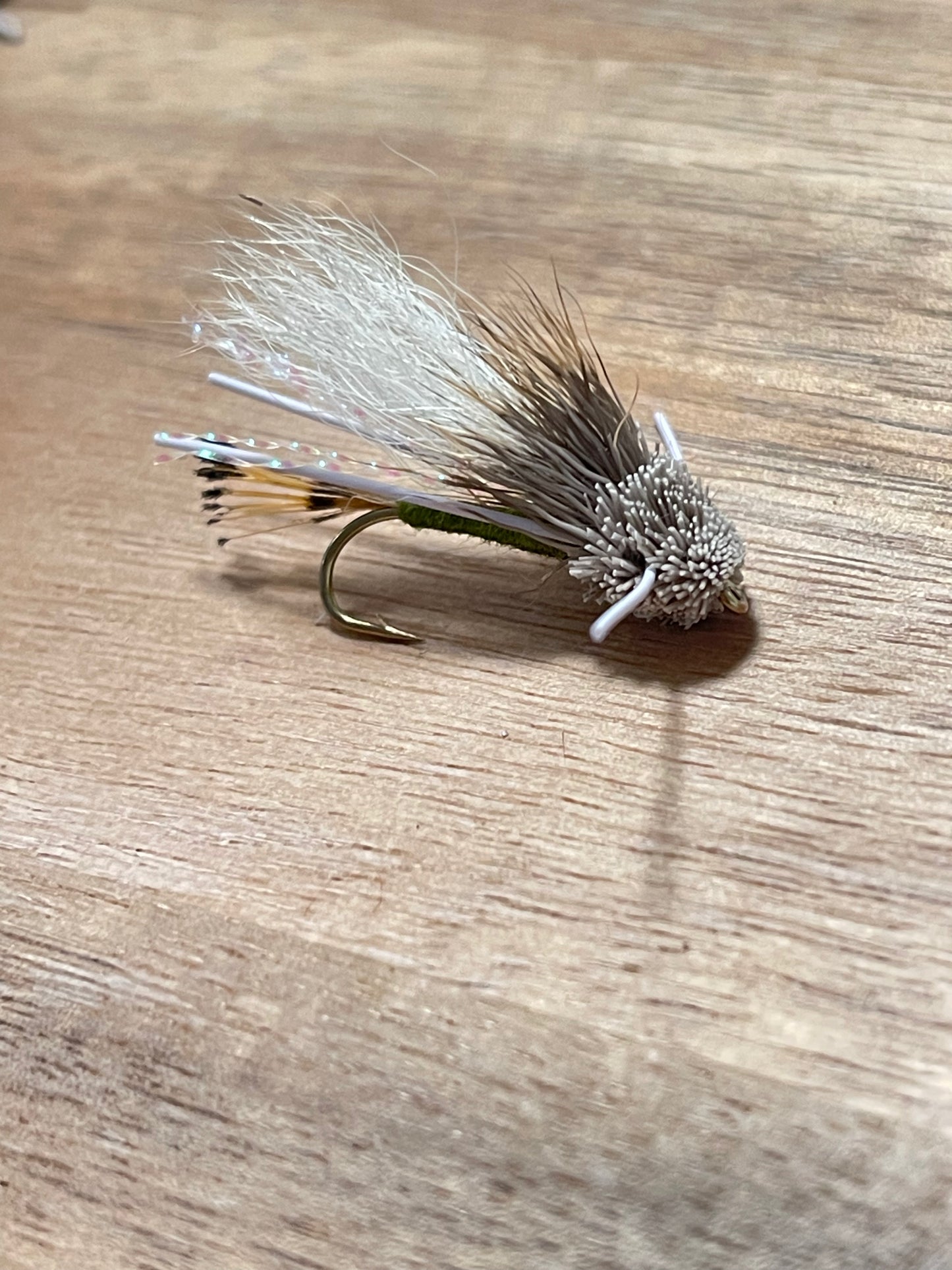 Turks Tarantula per dozen