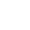 Native Instinct logo