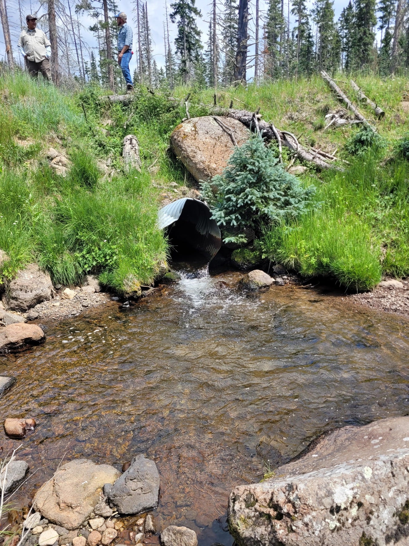 Two people surveying a creek culvert site in the high country