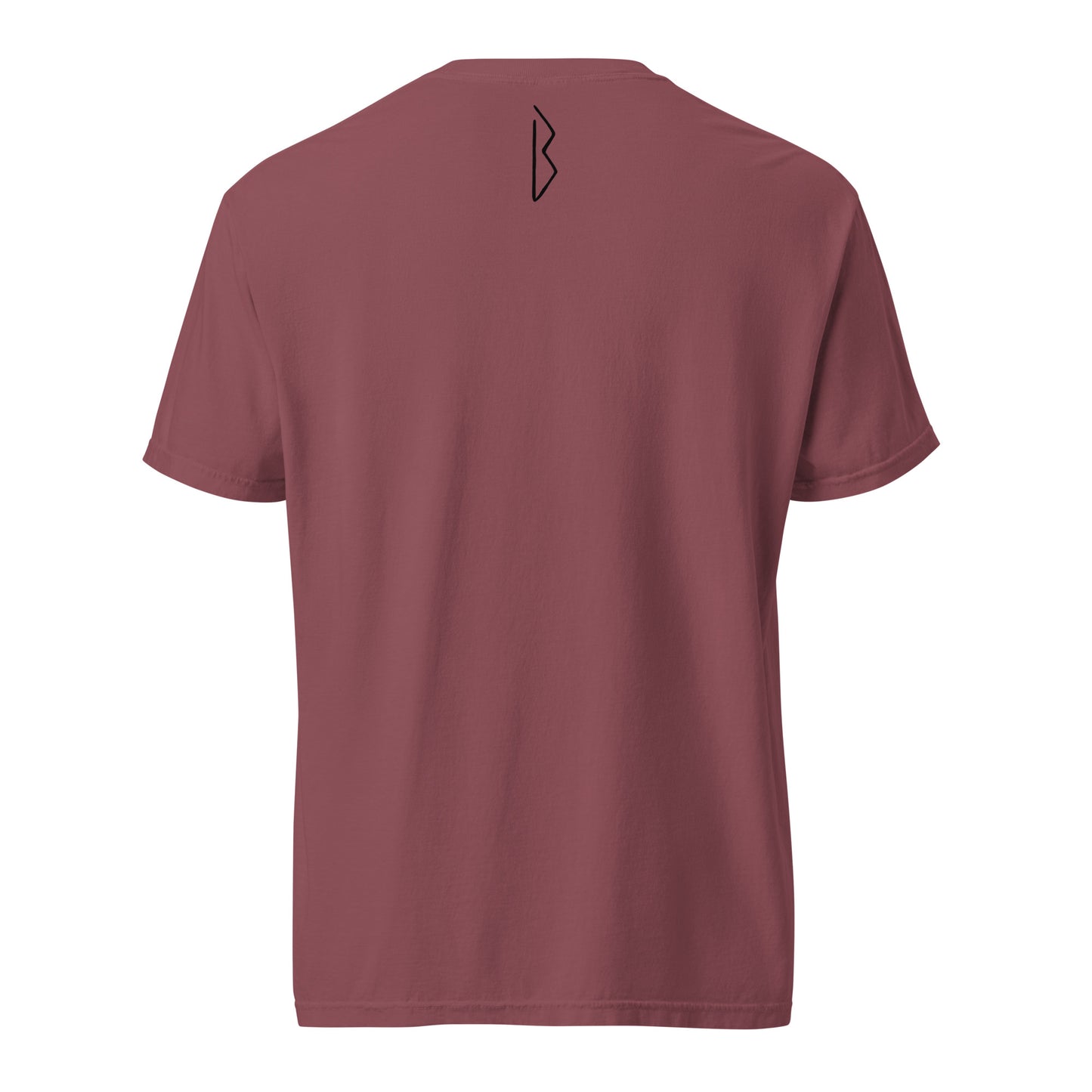 Basic SHASH Tee