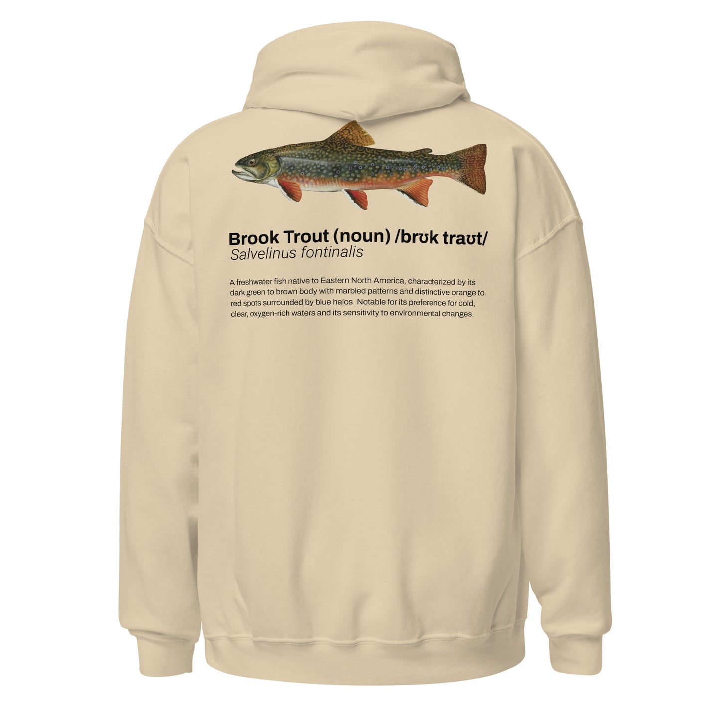 Brook Trout Definition Hoodie