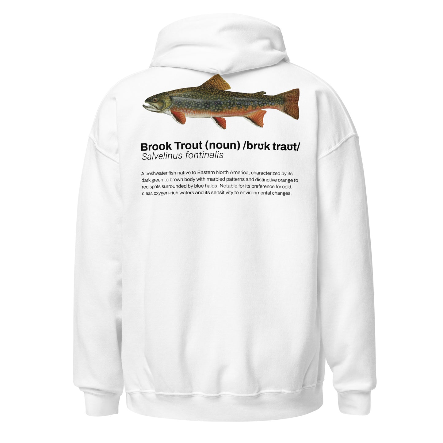 Brook Trout Definition Hoodie